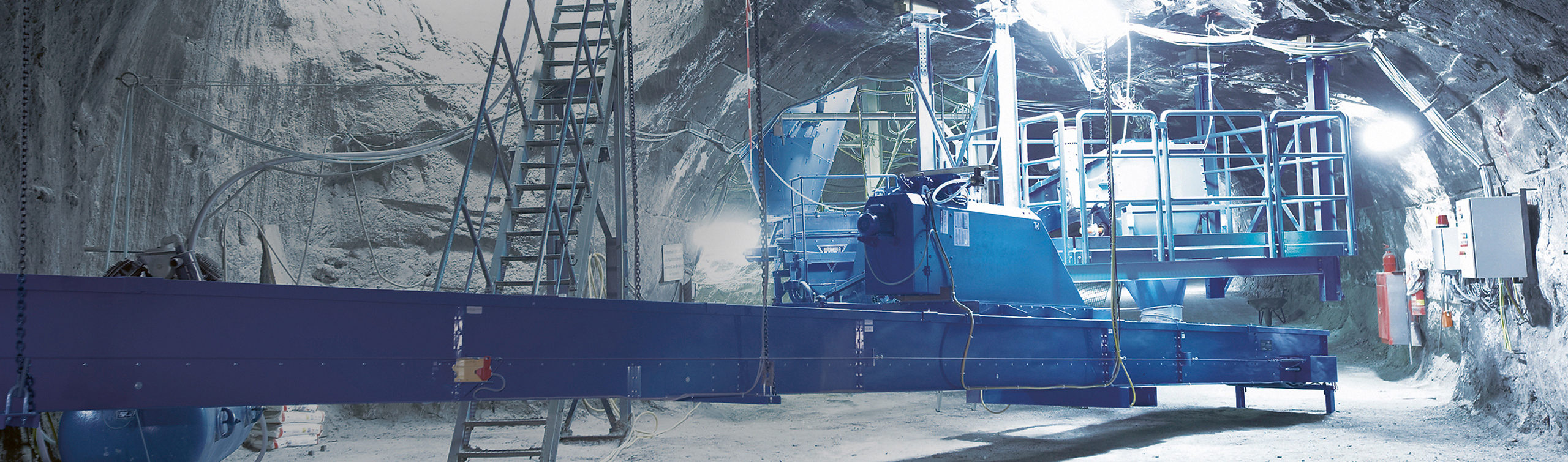 REMEX celebrates a milestone anniversary