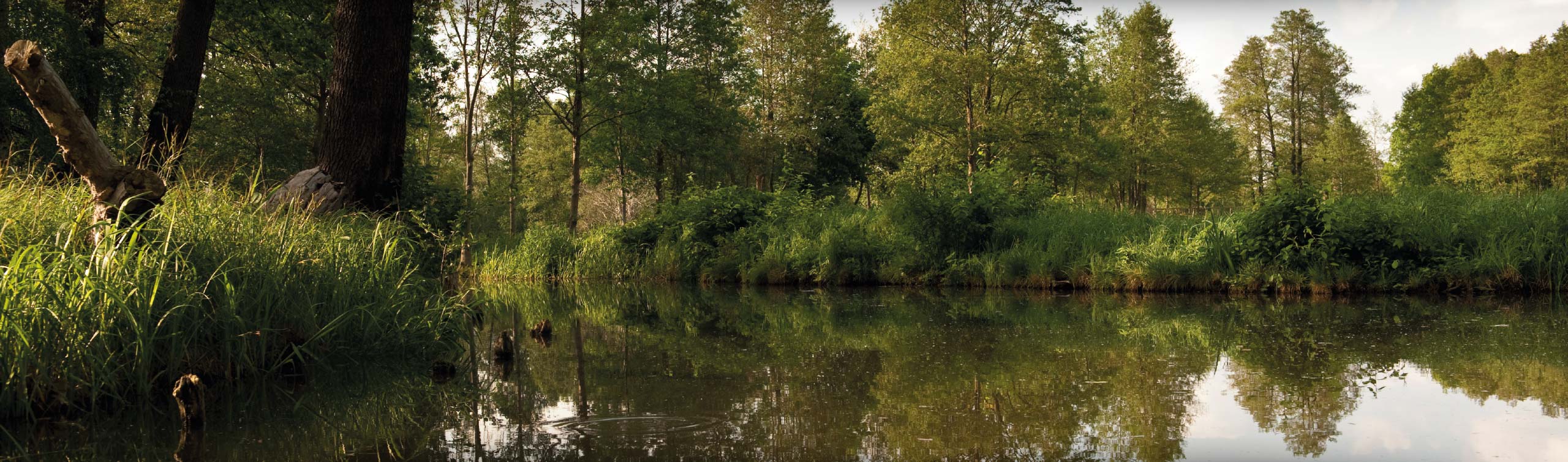 Alleskönner Kläranlage